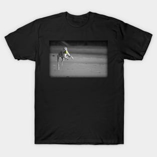 Fred on the Beach T-Shirt